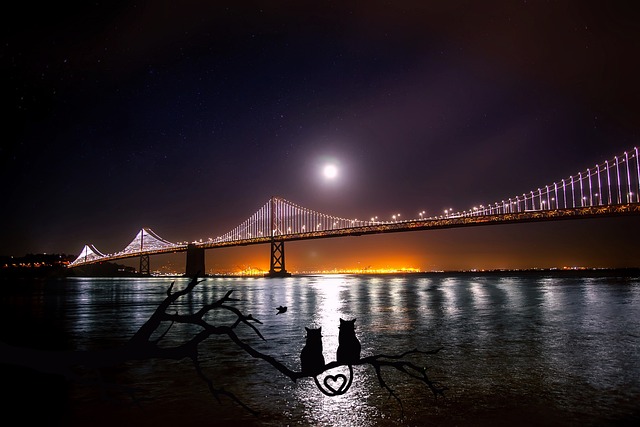 Gimbal in azione