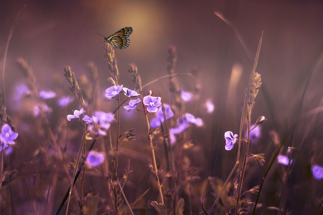 Illuminazione butterfly su volto