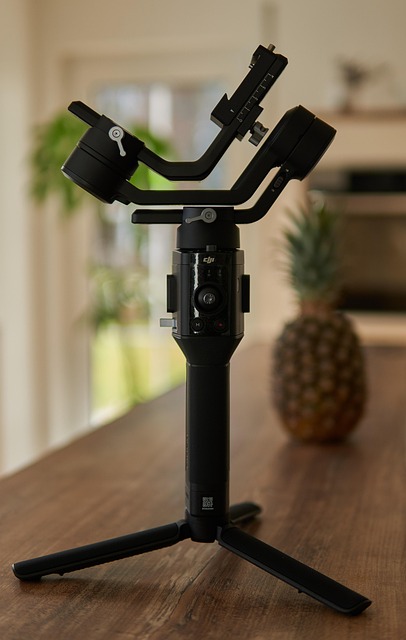 Gimbal elettronico